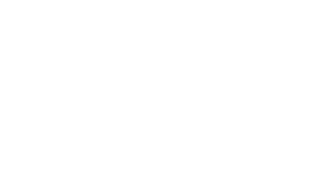 kalvis